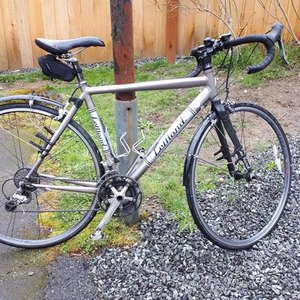 LeMond Tourmalet Silver, gray or bare metal