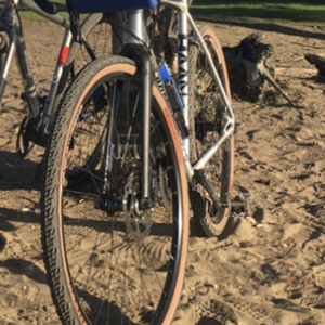 2016 Diamondback Haanjo Trail, size XL/59cm Silver, gray or bare metal and Black