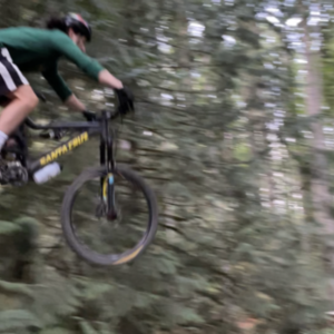 2015 Santa Cruz Heckler R Black