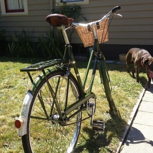 1970 Raleigh Step through Green