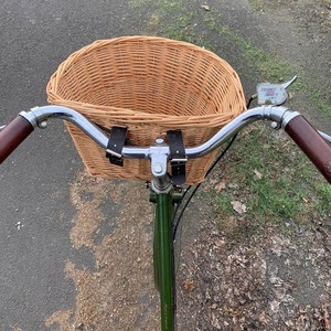 1970 Raleigh Step through Green