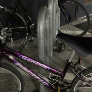 2000 Pacific Cycle Pacific Genesis Purple