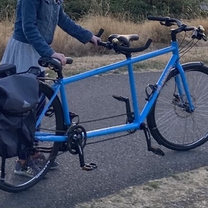 2019 Co-Motion Bluebird Blue