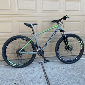 2019 Giant Silver, gray or bare metal and Green