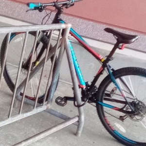 Specialized Rockhopper Teal