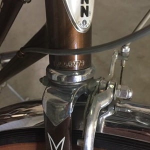 Schwinn Collegiate One Brown