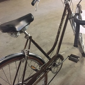 Schwinn Collegiate One Brown