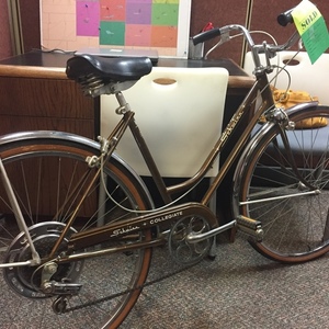 Schwinn Collegiate One Brown