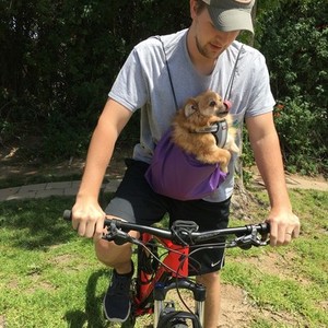 2017 Specialized Pitch (27.5") Red and Black