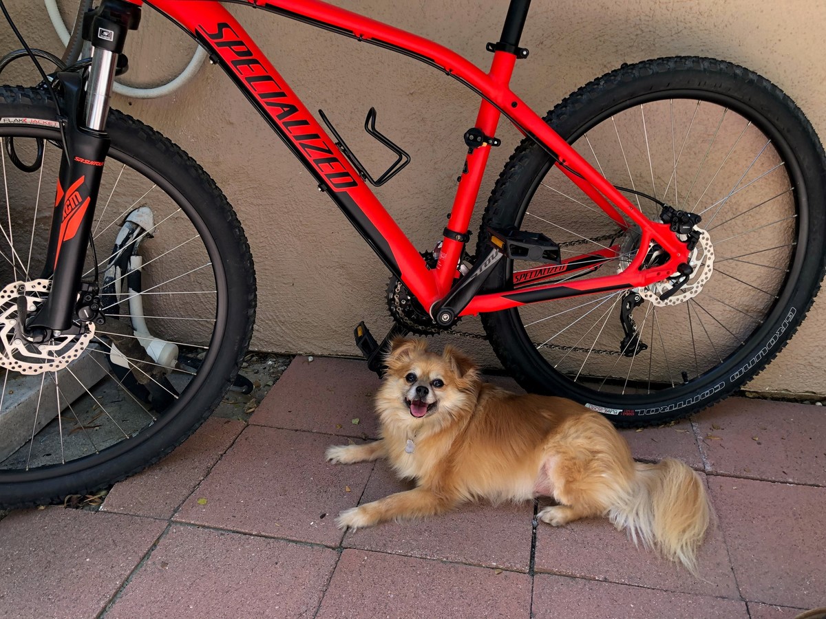 Bike photo