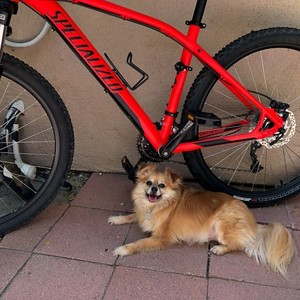 2017 Specialized Pitch (27.5") Red and Black