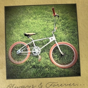 1975 Total BMX BMX Diamondback Silver, gray or bare metal