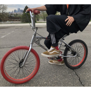 1975 Total BMX BMX Diamondback Silver, gray or bare metal