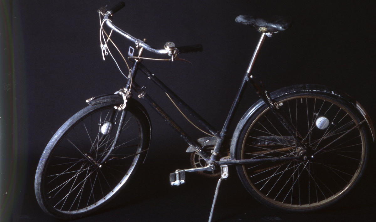 schwinn world traveler