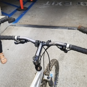 Trek X-Caliber 8 Silver, gray or bare metal