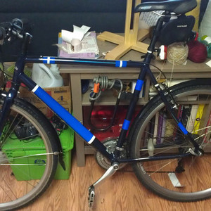 2010 Bianchi Iseo Blue and White