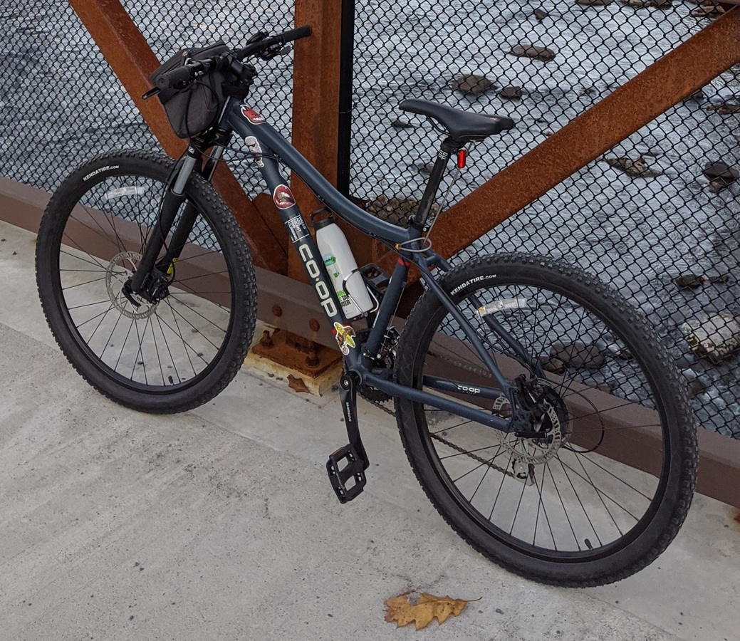 Stolen 2019 REI Coop DRT 1.1