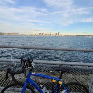 2017 Fuji SPORTIF Blue