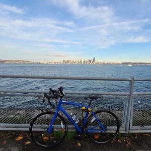 2017 Fuji SPORTIF Blue