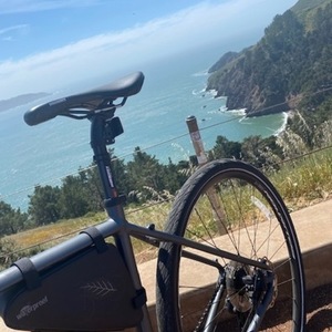 2018 Diamondback Haanjo Silver, gray or bare metal