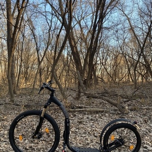 2019 Kickbike America Cross Max Black
