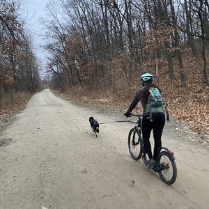2019 Kickbike America Cross Max Black
