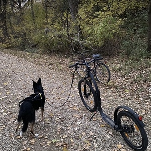 2019 Kickbike America Cross Max Black