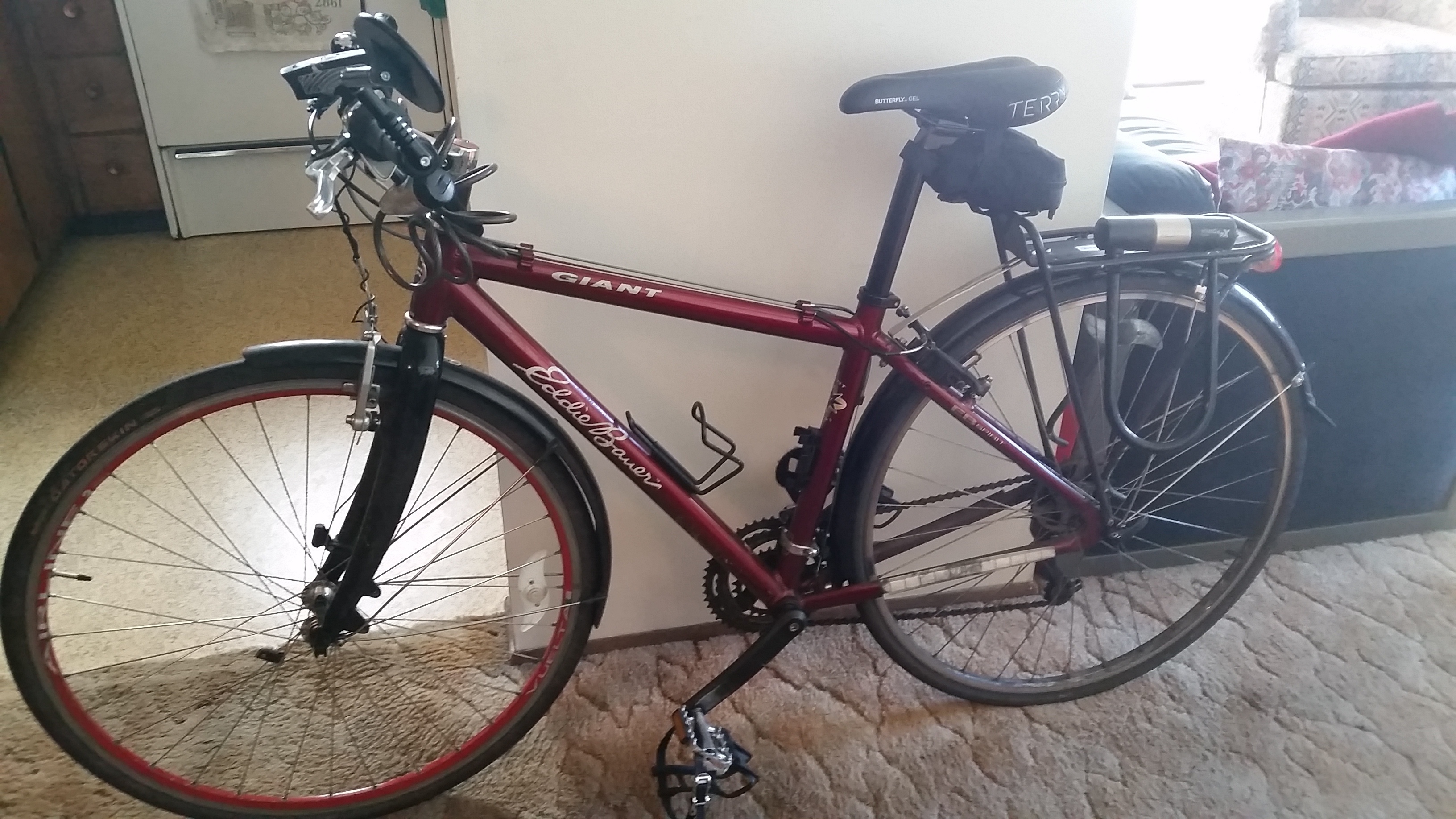 giant eddie bauer mountain bike