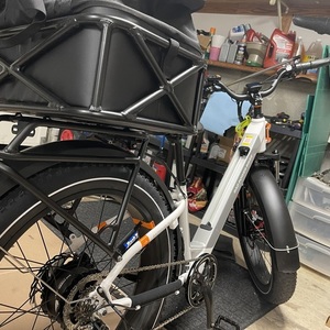 2021 Rad Power Bikes RadRover 6 Plus White