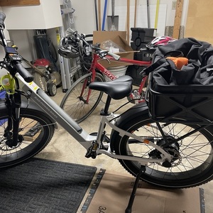 2021 Rad Power Bikes RadRover 6 Plus