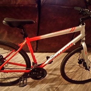 2019 Schwinn Circuit Red and Silver, gray or bare metal