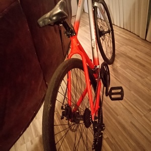 2019 Schwinn Circuit Red and Silver, gray or bare metal