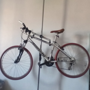 2009 Bianchi Ruck 2800