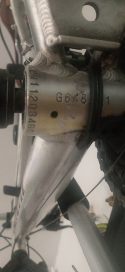 2009 Bianchi Ruck 2800