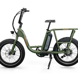 2020 Rad Power Bikes Radrunner Green