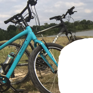 2021 Specialized Roll Blue