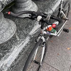 Raleigh Dash Plus White