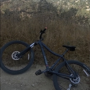 2019 REI Blue