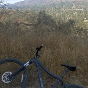 2019 REI Blue
