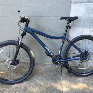 2019 REI Blue