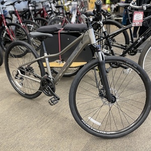 2021 Trek Dual Sport 2 Silver, gray or bare metal
