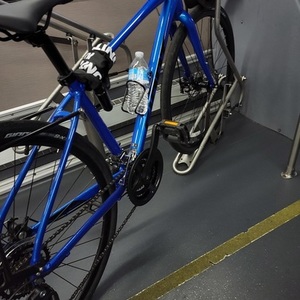 2021 Giant Escape Blue