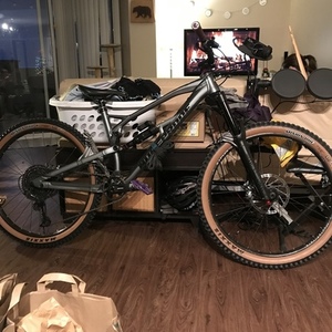 2020 Nukeproof Mega 275 Silver, gray or bare metal