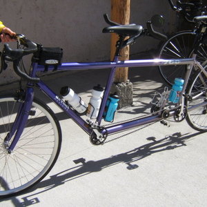 2009 da Vinci Designs Joint Venture tandem Purple and Silver, gray or bare metal