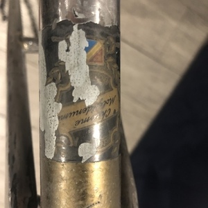 1973 American Eagle NA Silver, gray or bare metal