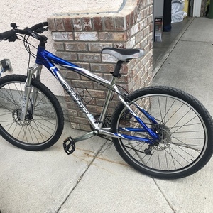 2005 Giant Giant Ranier 17” Blue and Silver, gray or bare metal