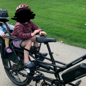 2020 Rad Power Bikes Radwagon 4 cargo bike (rear storage) Black