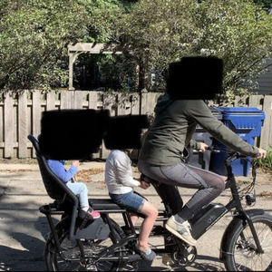 2020 Rad Power Bikes Radwagon 4 cargo bike (rear storage) Black