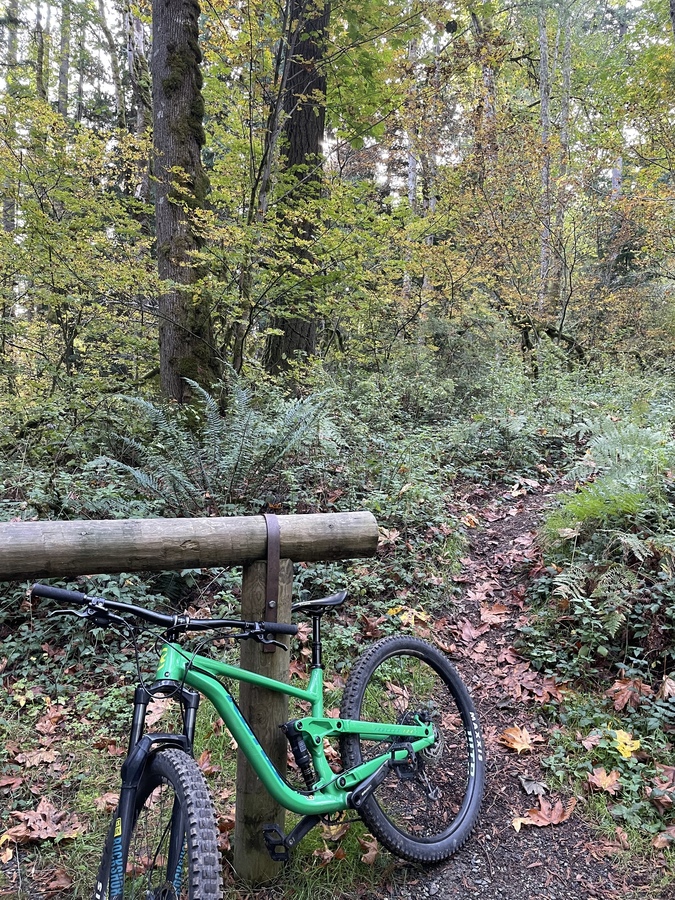Bike photo