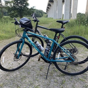 Trek Verve 2 Silver, gray or bare metal